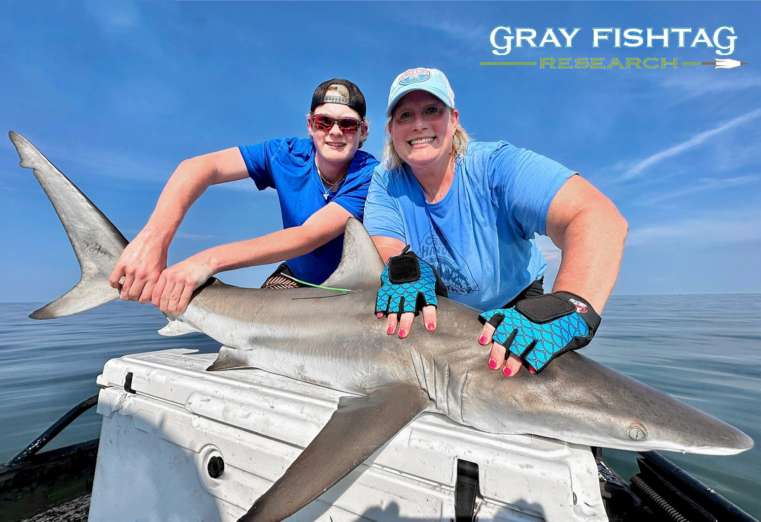Tagging Sharks for Gray Fishtag Research