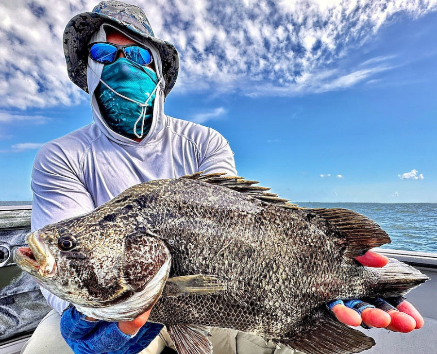 Angler holding a Tripletail Fish in Crystal River, Florida